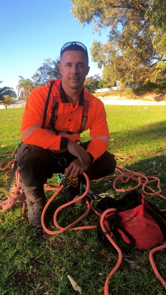 TreeLine Perth climber